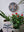Dragonfly mosaics on the wall surrounded by plants
