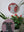 Dog mosaics on the wall surrounded by plants
