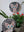 Cat mosaics on the wall surrounded by plants
