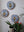 Bee mosaics on the wall surrounded by plants
