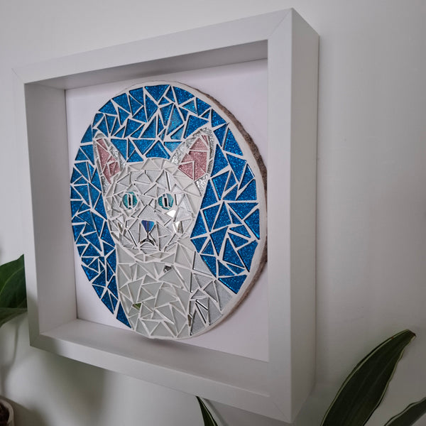 A framed mosaic art piece depicting a white cat with blue eyes, set against a circular blue background and mounted on a white square frame, shown hanging on a light wall with green leaves at the edges.