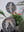 Bat mosaics on the wall surrounded by plants 