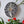 Bat mosaic on the wall surrounded by plants 