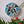 Bat mosaic on the wall surrounded by plants 
