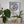 A square white framed piece of mosaic wall art featuring a stylized bee in blue, white, yellow, and black geometric shapes, mounted on a white wall above a shelf with potted plants.