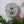 Bee mosaic on the wall surrounded by plants

