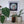 A framed mosaic art print of a dog's face hangs on a white wall above a shelf with plants and a glass bottle. The circular mosaic features geometric shapes in teal, brown, beige, and white, set against a dark background inside a white frame.