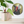 A round mosaic wall art piece featuring a stylized black cat with red, blue, and gold details, displayed on a white wall above a shelf next to a potted green plant.
