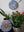 Flower mosaics on the wall surrounded by plants

