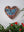 Butterfly mosaic on the wall surrounded by plants