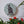 Cat mosaic on the wall surrounded by plants