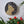 Cat mosaic on the wall surrounded by plants
