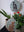 Cat mosaics on the table surrounded by plants