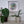 A circular mosaic wall art piece featuring a stylized green and red bird, displayed in a white square frame on a white wall above a shelf with potted plants.