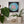 A framed circular mosaic wall art piece featuring a pink rose on a light blue background, displayed on a shelf above potted plants.