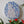 Dog mosaic on the wall surrounded by plants