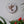Dove mosaic on the wall surrounded by plants 