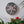 Dragonfly mosaic on the wall surrounded by plants
