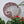 Elephant mosaic on the wall surrounded by plants
