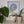 A framed circular mosaic art piece featuring a white heron with a yellow beak on a blue and white geometric background, displayed on a shelf next to green potted plants.