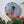 Bird mosaic on the wall surrounded by plants

