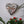 Heart mosaic on the wall surrounded by plants
