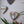 Heart mosaics on the wall surrounded by plants