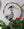 Heron mosaic on the wall surrounded by plants 