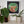 Framed mosaic wall art featuring a highland cow in brown, bronze and gold toned reflective mirror tiles on a green background. The mosaics sits above a shelf with potted plants. 