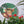 Highland cow mosaic on the wall surrounded by plants 