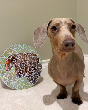 A dachshund standing on a light carpet next to a circular mosaic pet portrait that shows a brown dachshund's face.