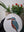 Kingfisher mosaic on the table surrounded by plants
