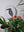 Kingfisher mosaic on the wall surrounded by plants
