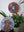 Dog mosaics on the wall surrounded by plants
