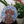 Dog mosaic on the table surrounded by plants
