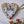 Heart mosaic on the wall surrounded by plants