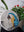 Macaw mosaic on the table surrounded by plants 