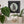 A framed circular mosaic wall art piece featuring a black cat design hangs on a white wall above a shelf with potted plants and a small decorative lotus holder.
