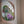 A circular mosaic wall art piece featuring a parakeet design, mounted on a white frame. The mosaic contains green, purple, red, and white glass pieces with a natural wood edge.