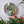 Parakeet mosaic on the wall surrounded by plants 