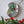 Parakeet mosaic on the wall surrounded by plants 