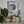 A round mosaic wall art piece featuring a stylized macaw in blue, gold, and white, mounted in a white square shadow box on a light gray wall. The display is styled on a shelf with green potted plants and a small gold kiwi bird figurine.