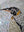 Side view of a circular penguin mosaic artwork, showing the rustic wood edge.