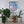 A framed circular mosaic wall art piece featuring a pink flamingo on a blue geometric background, displayed on a shelf above potted plants and a small kiwi bird figurine.