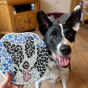 A black and white dog looks at a hand holding a round pet portrait mosaic in a home setting with wooden floors and furniture in the background.
