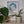 A framed mosaic cat wall art piece hangs on a white wall above a shelf with green plants and a gold kiwi figurine. The mosaic features a white cat with pink ears, surrounded by teal, blue, and white geometric tiles.
