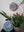 Flower mosaics on the wall surrounded by plants