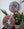 Dog mosaics on the wall surrounded by plants
