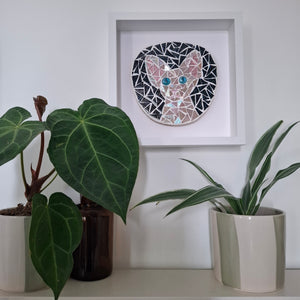 A circular mosaic wall art piece depicting a stylized cat face, mounted in a white square shadow box frame on a white wall. The frame is styled on a shelf with potted green plants.