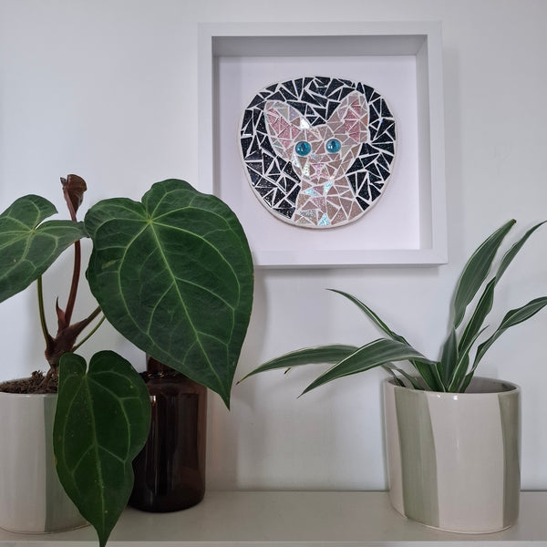 A circular mosaic wall art piece depicting a stylized cat face, mounted in a white square shadow box frame on a white wall. The frame is styled on a shelf with potted green plants.